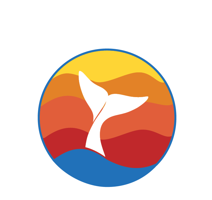 Pure Baja Travels