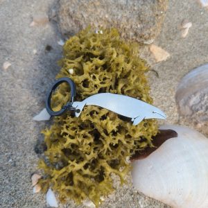 Gray Whale Keychain