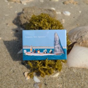 Whale Watching Magnet