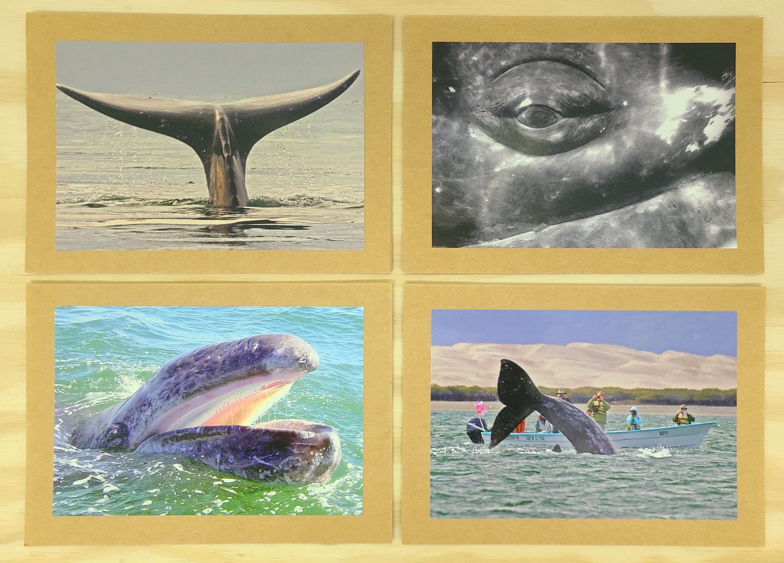 6 card set collection 3